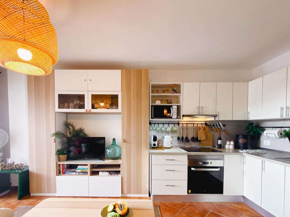 Kitchen or kitchenette, minibar, pet friendly, stove