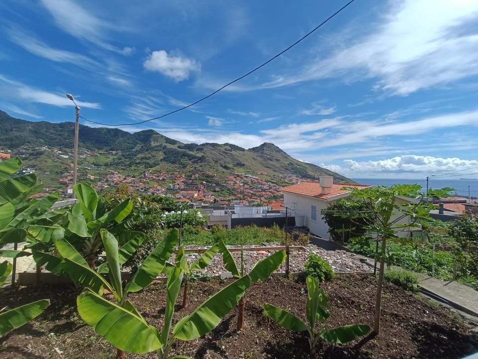 Garden view, Mountain view, Street view