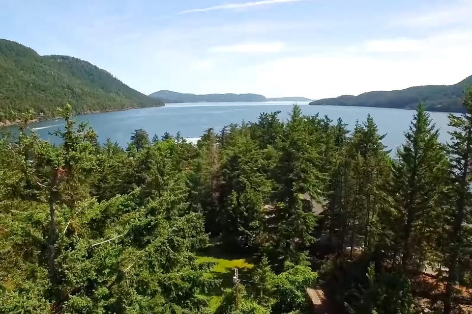 The Island Treehouse House in Washington