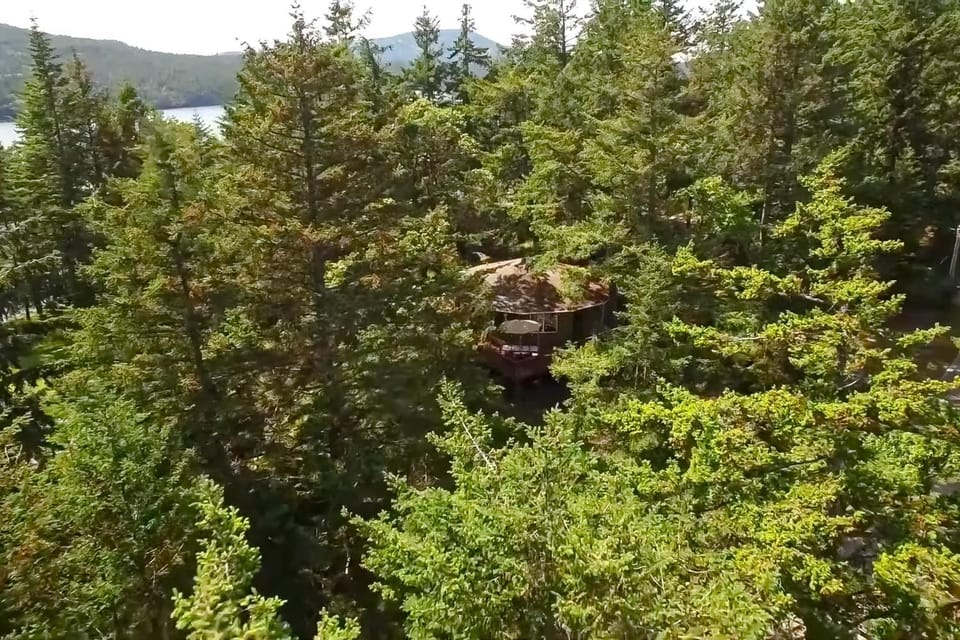 The Island Treehouse House in Washington