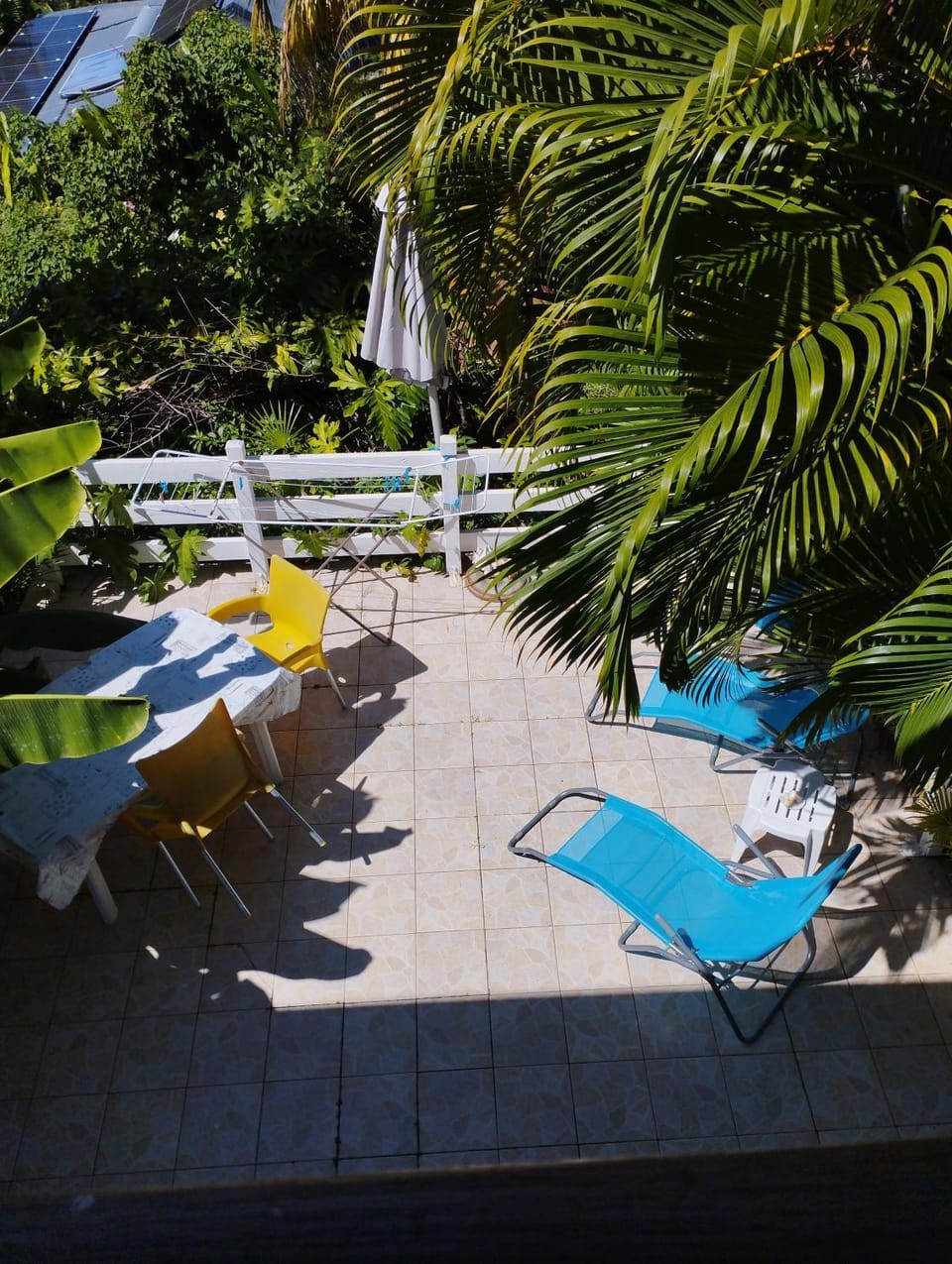 Garden view