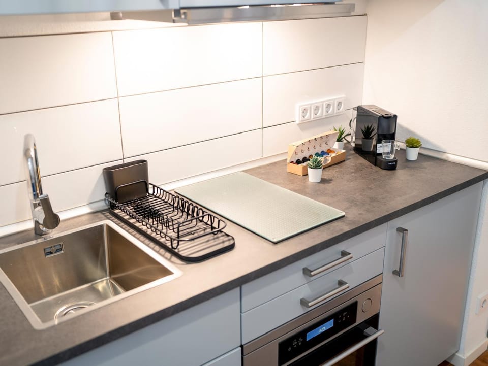 Kitchen or kitchenette, dishwasher, minibar, pet friendly, stove