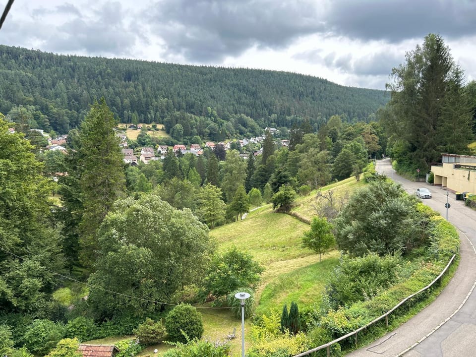 View (from property/room)