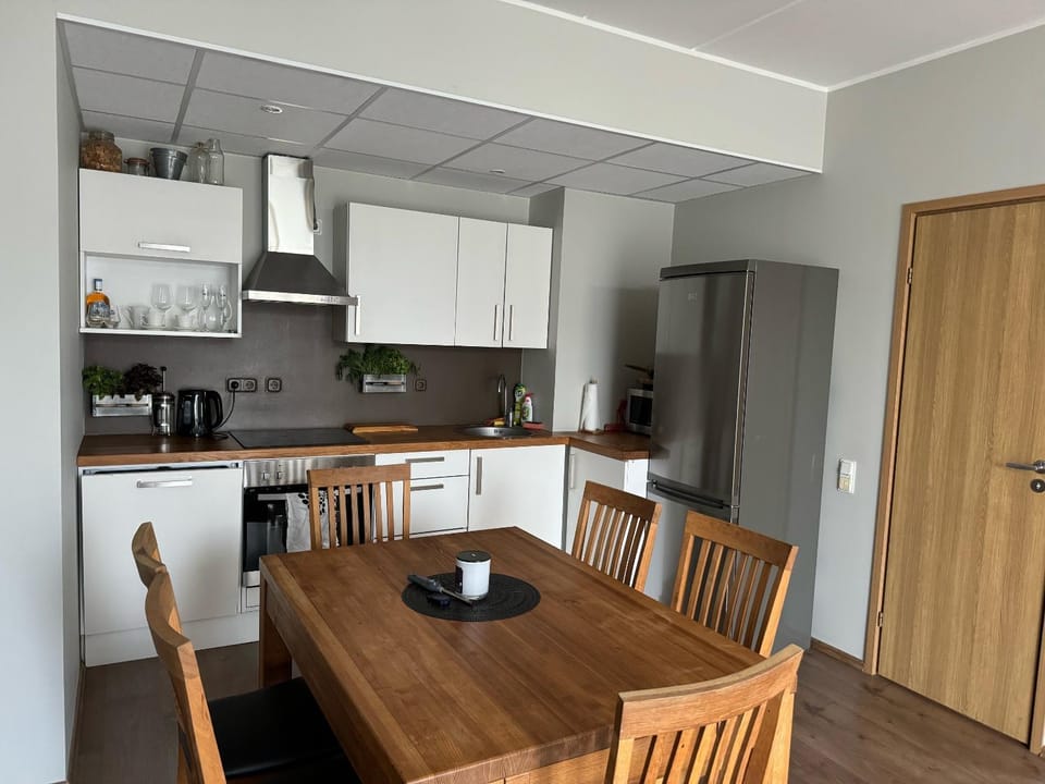Beautiful apartment with sauna Apartment in Tallinn
