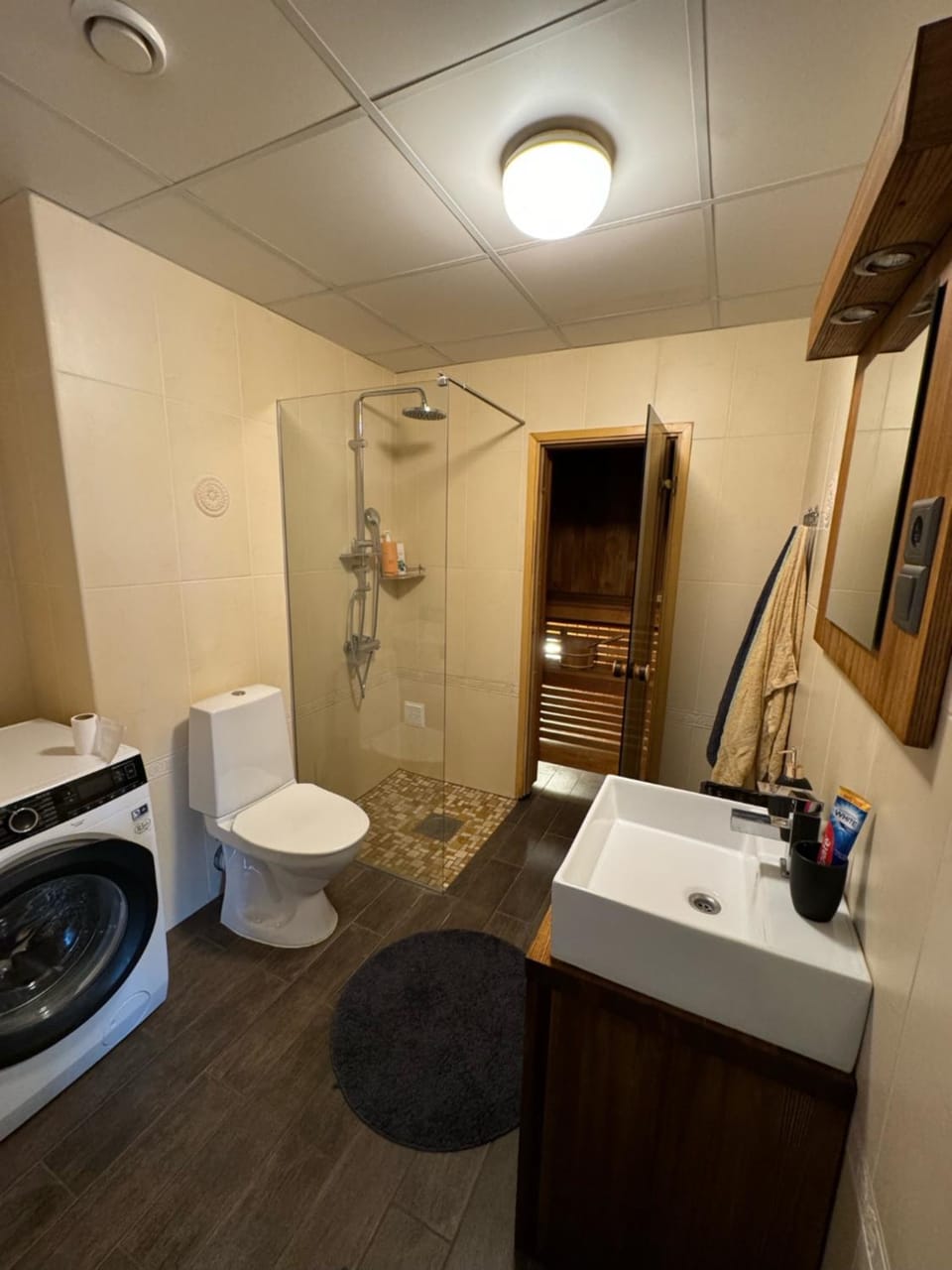 Beautiful apartment with sauna Apartment in Tallinn