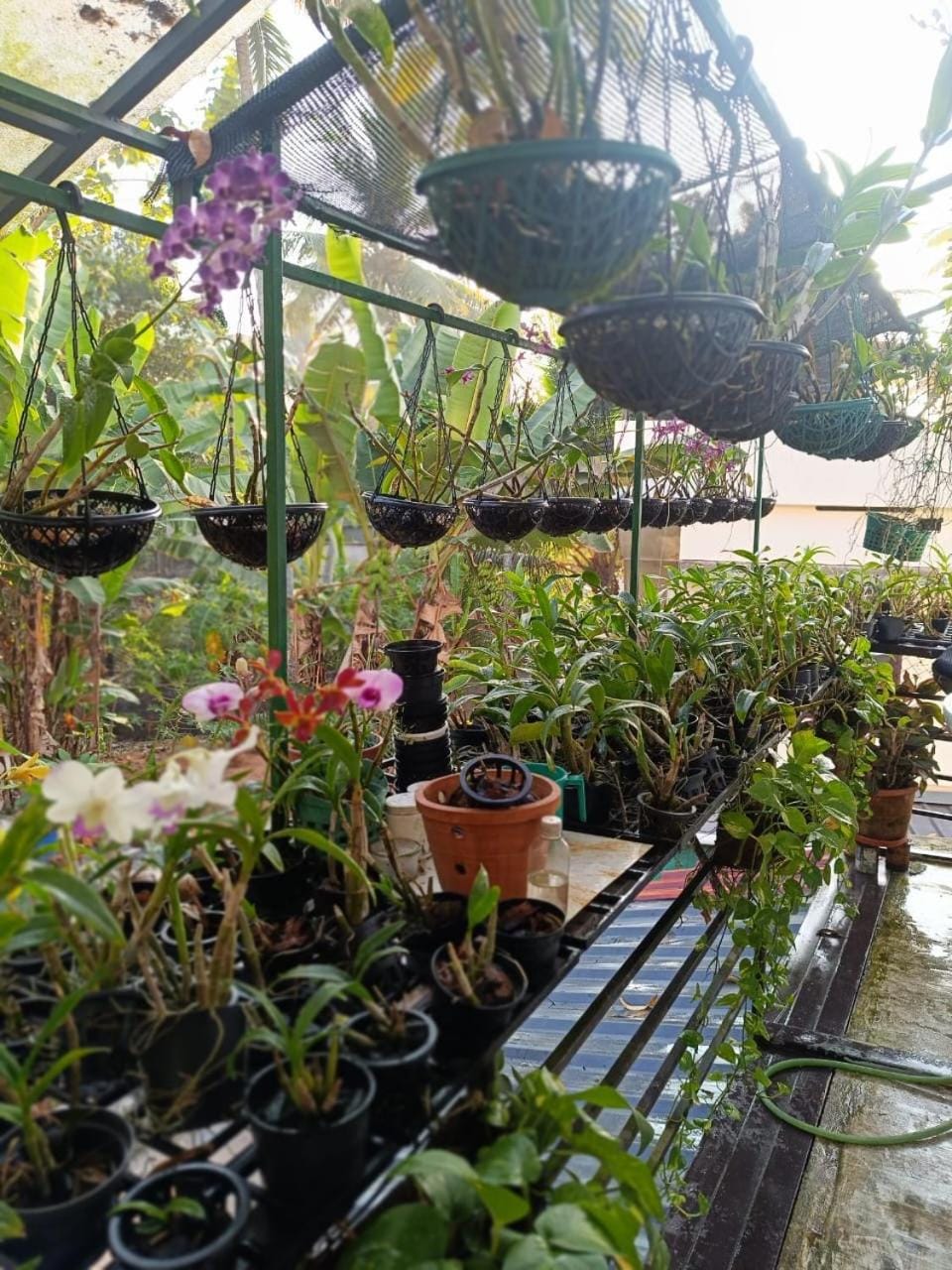 Property building, Garden, Garden view