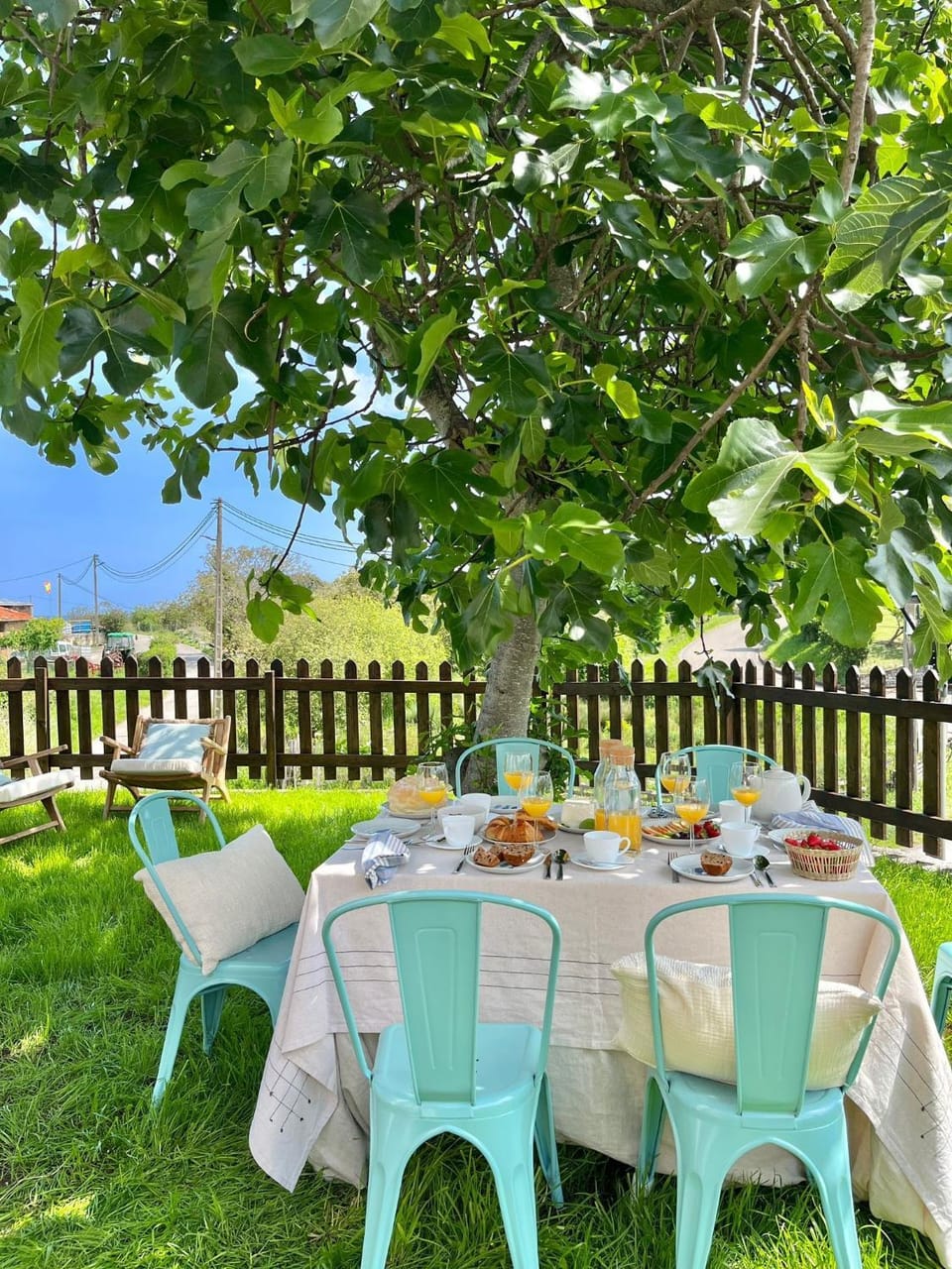 Spring, Day, Natural landscape, Garden, Food and drinks, Food, Garden view