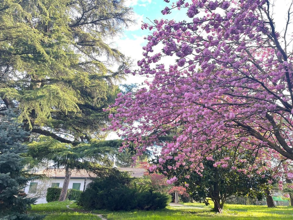 Villa Giacinti Villa in Padua