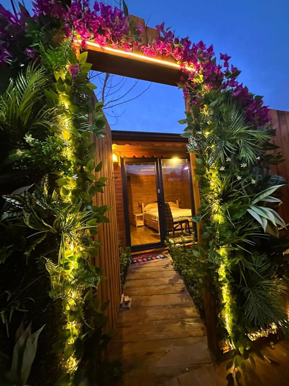 Patio, Night, Garden