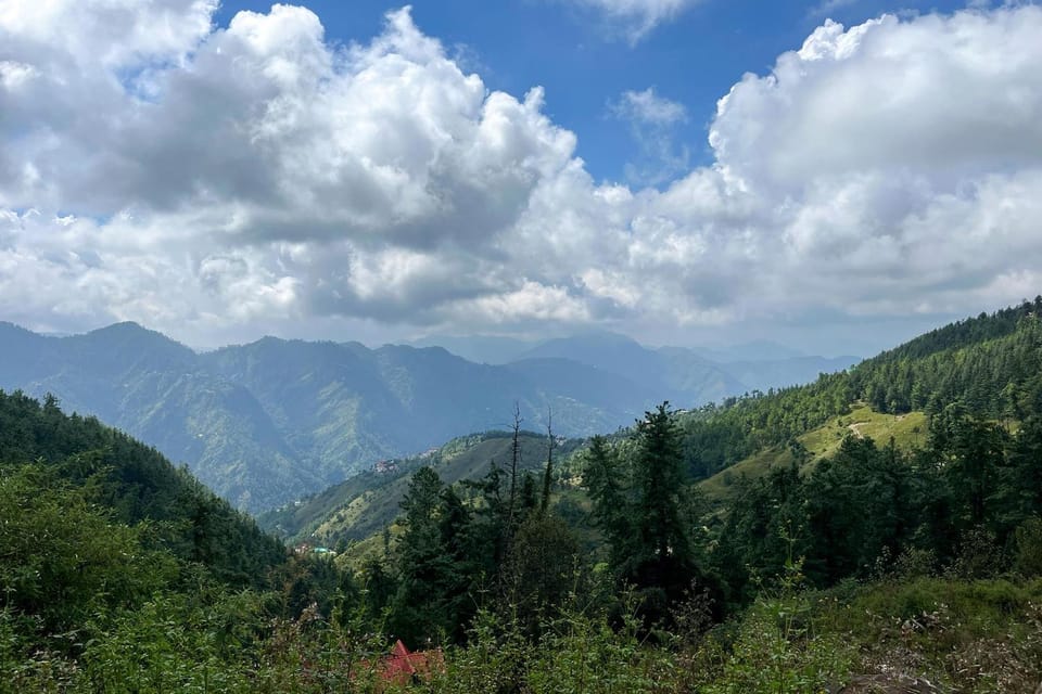 View (from property/room)
