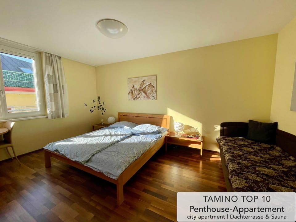 Penthouse TAMINO TOP 10 Apartment in Schladming