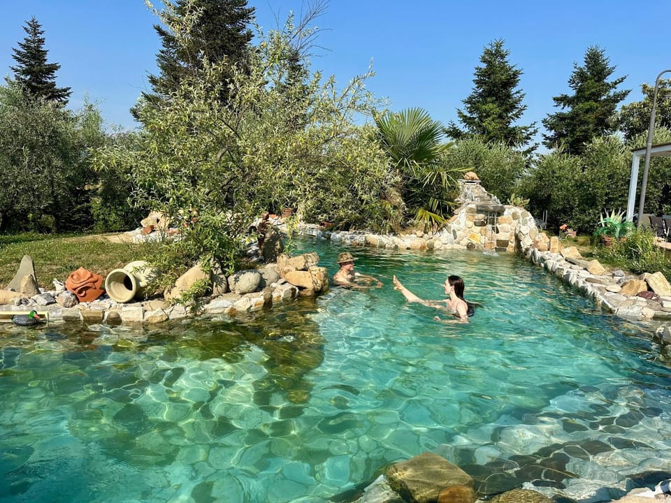 Pool view, Swimming pool