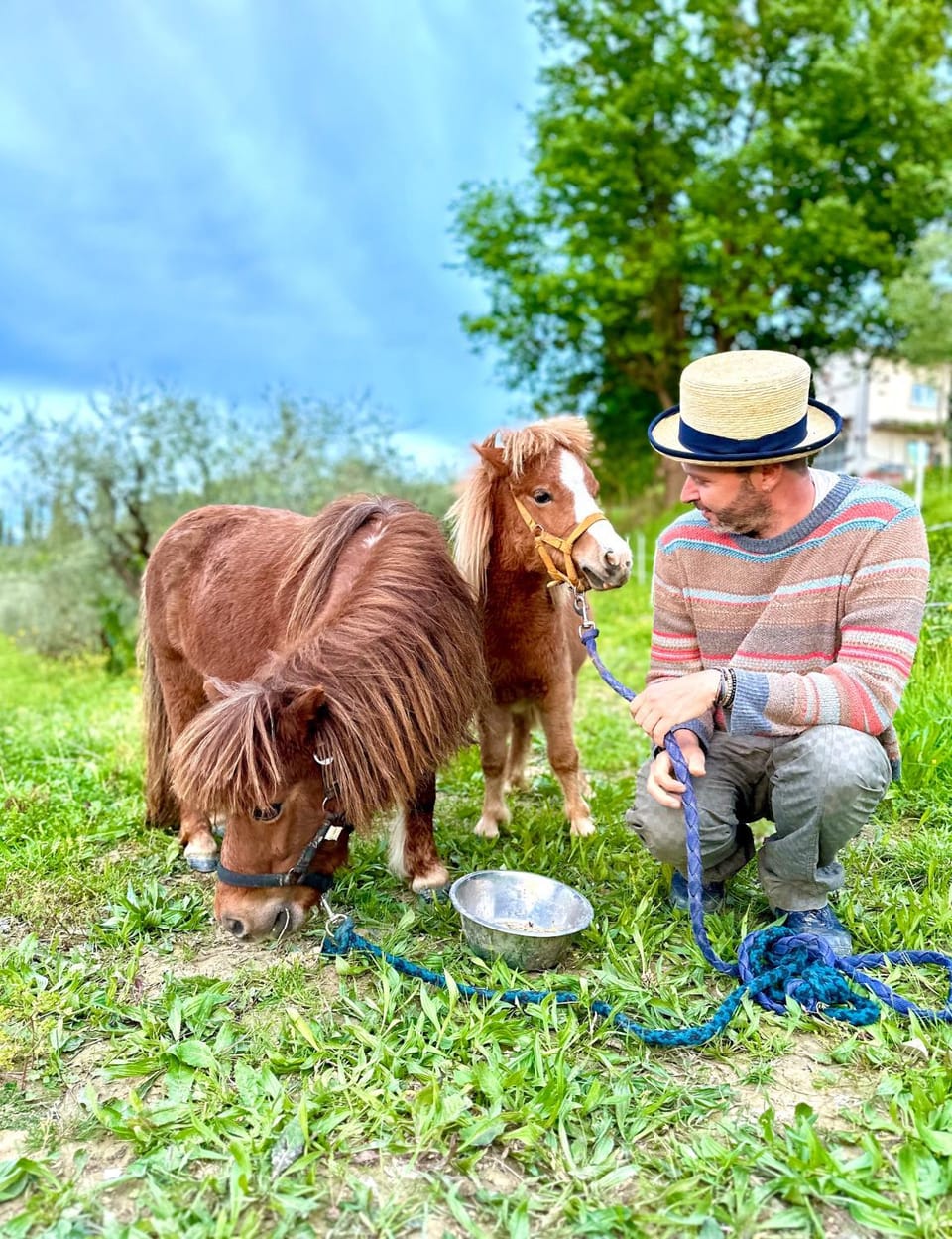 Agriturismo La Pineta Farm Stay in Emilia-Romagna