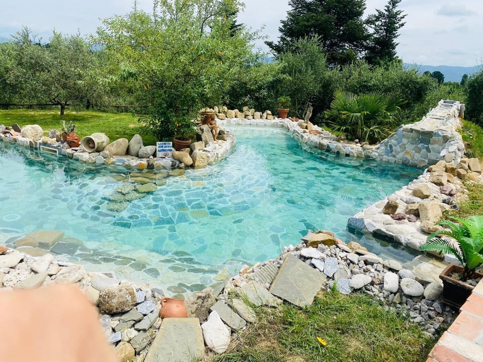 Pool view, Swimming pool
