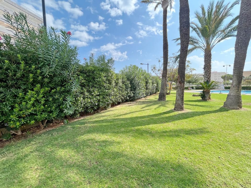 Patio, Garden, Garden view