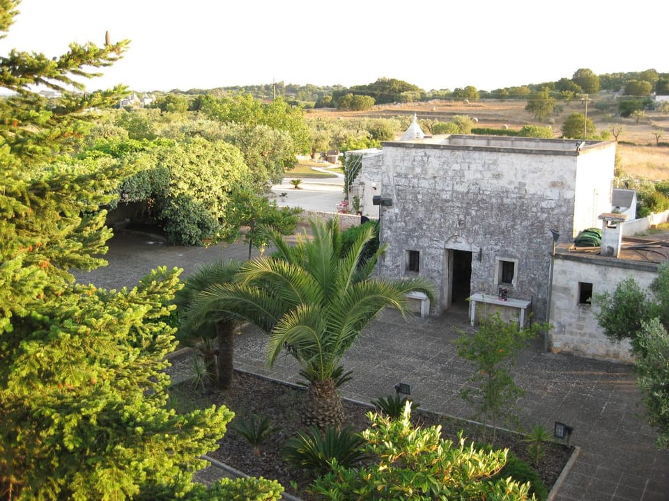 Garden view