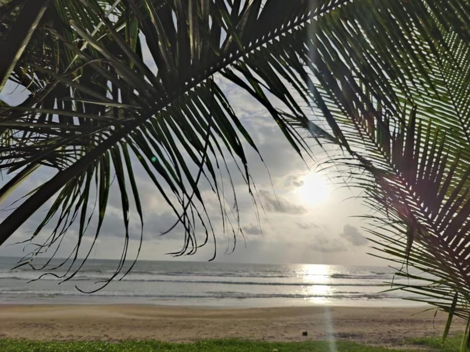 Day, Natural landscape, Beach