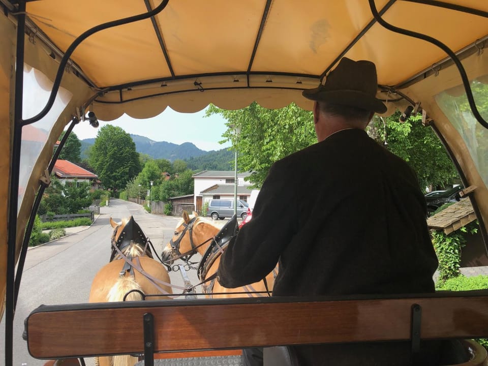 Nearby landmark, Day, People, Natural landscape, Activities, Animals, Mountain view, group of guests