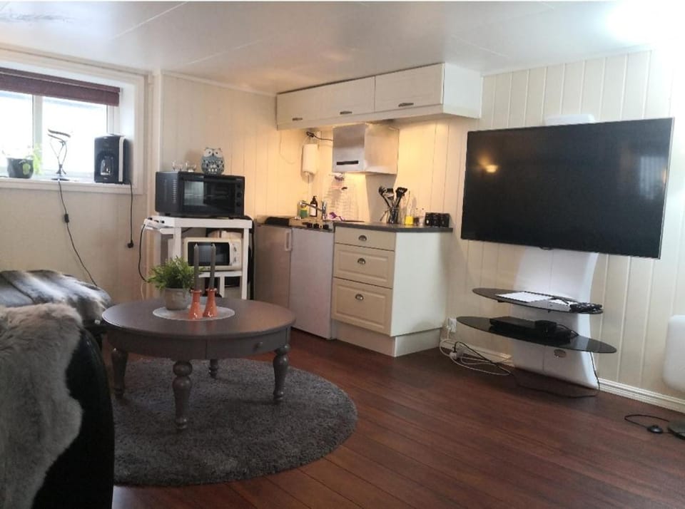 TV and multimedia, Coffee/tea facilities, Kitchen or kitchenette, Living room, Seating area, Dining area, minibar, pet friendly, stove