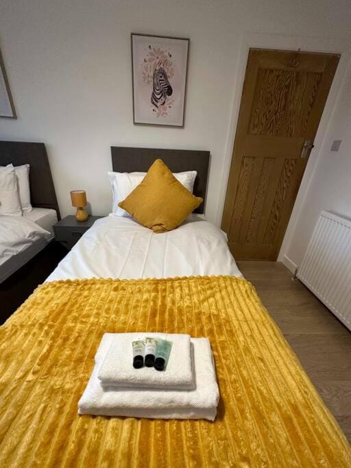 Spacious 3 Bed House with Parking and Garden Apartment in Reading