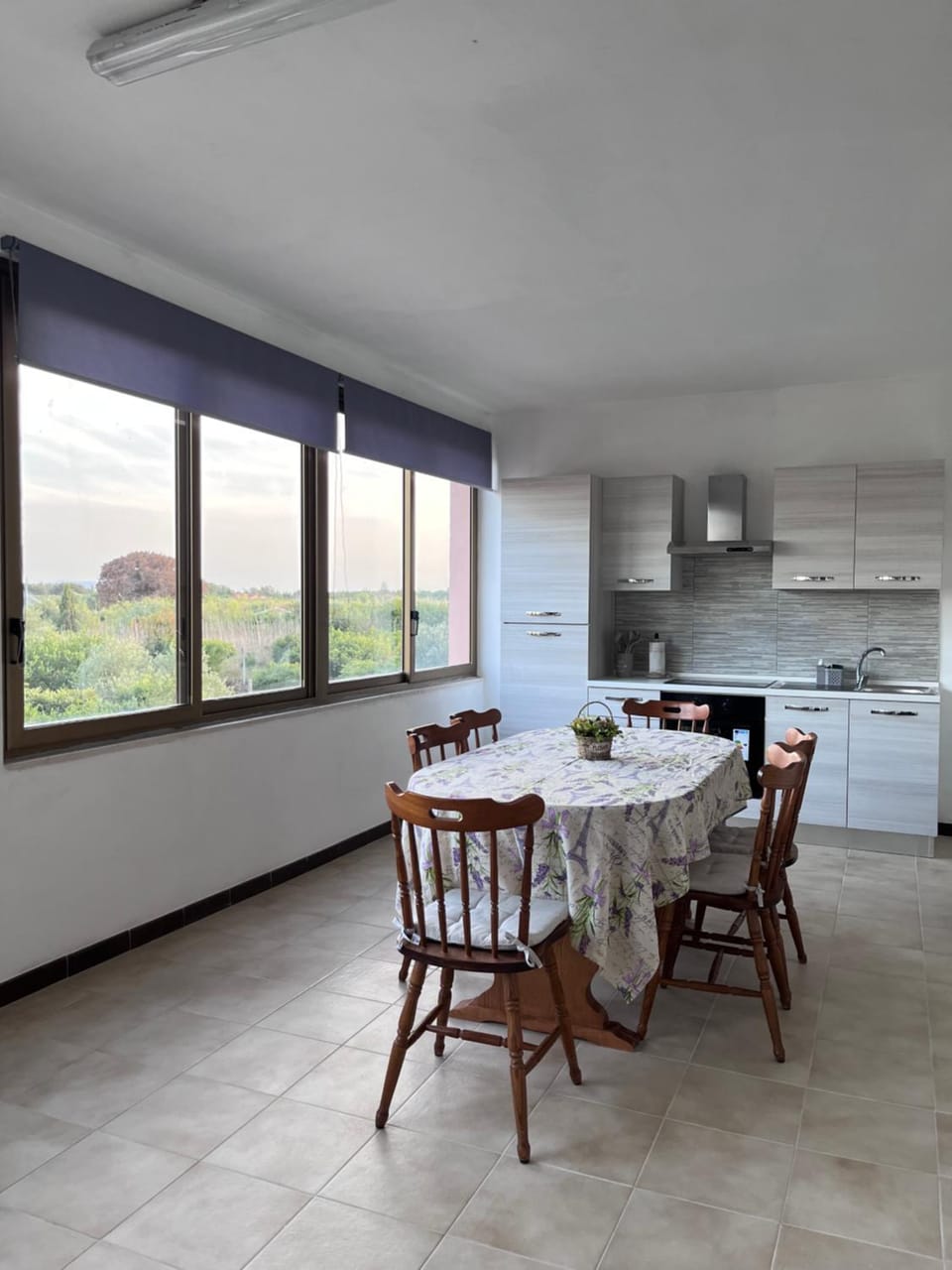 Kitchen or kitchenette, Dining area, pet friendly, stove