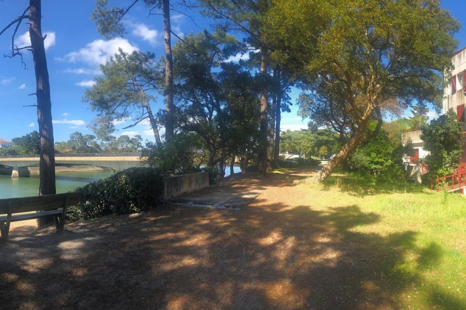 Natural landscape