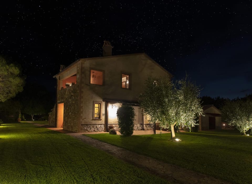 Property building, Night, Garden, Garden view