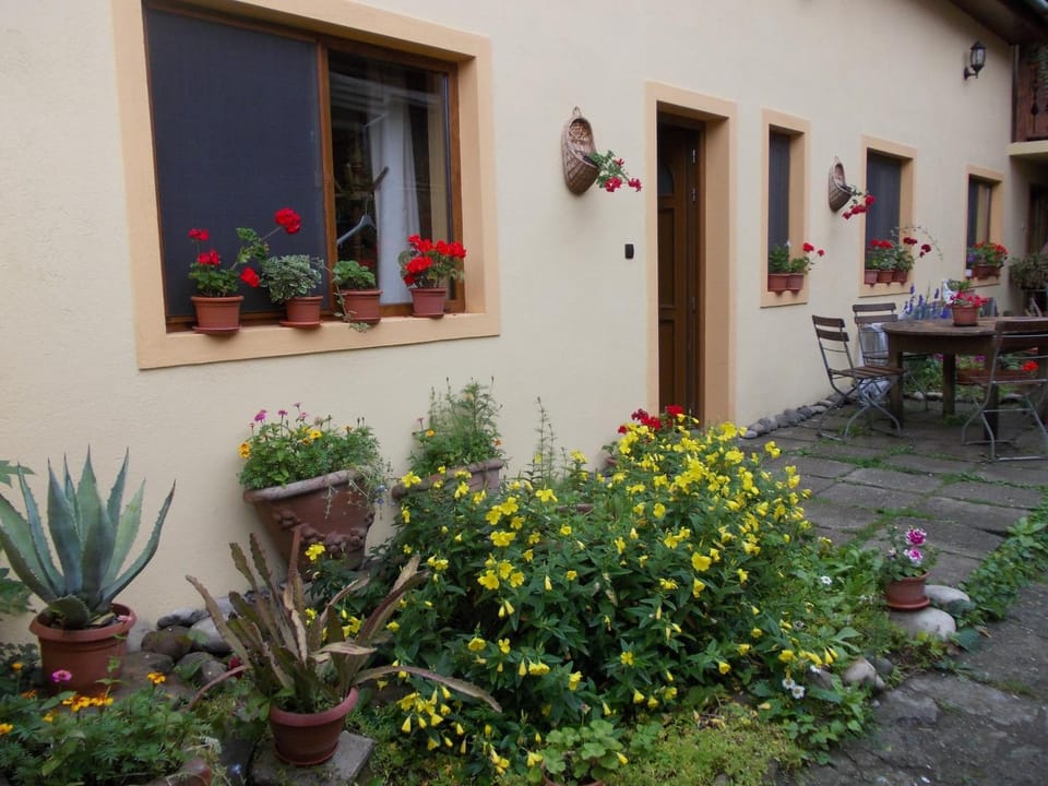 Patio, Facade/entrance, Day