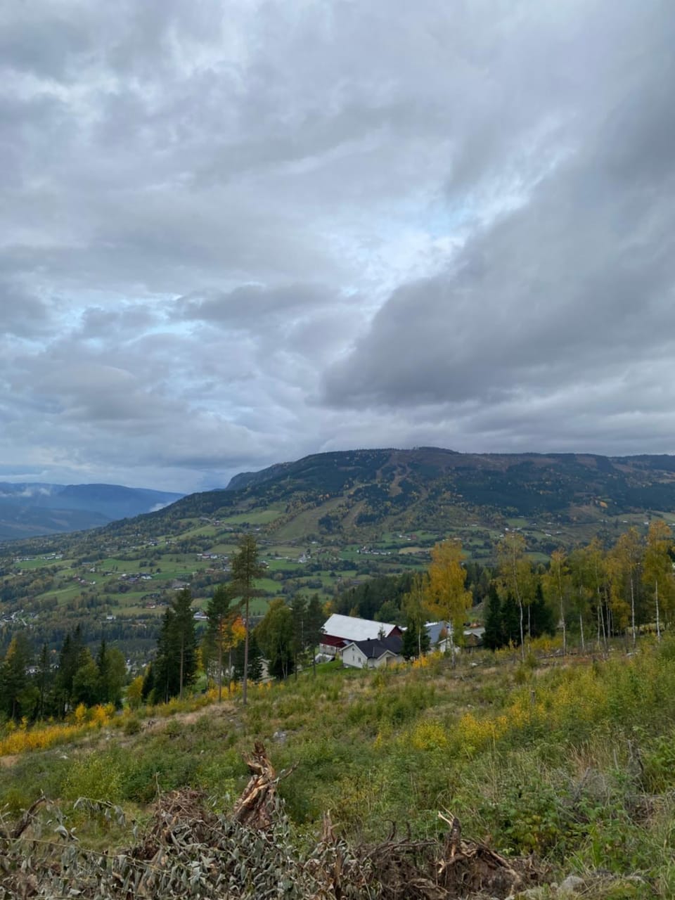 Natural landscape