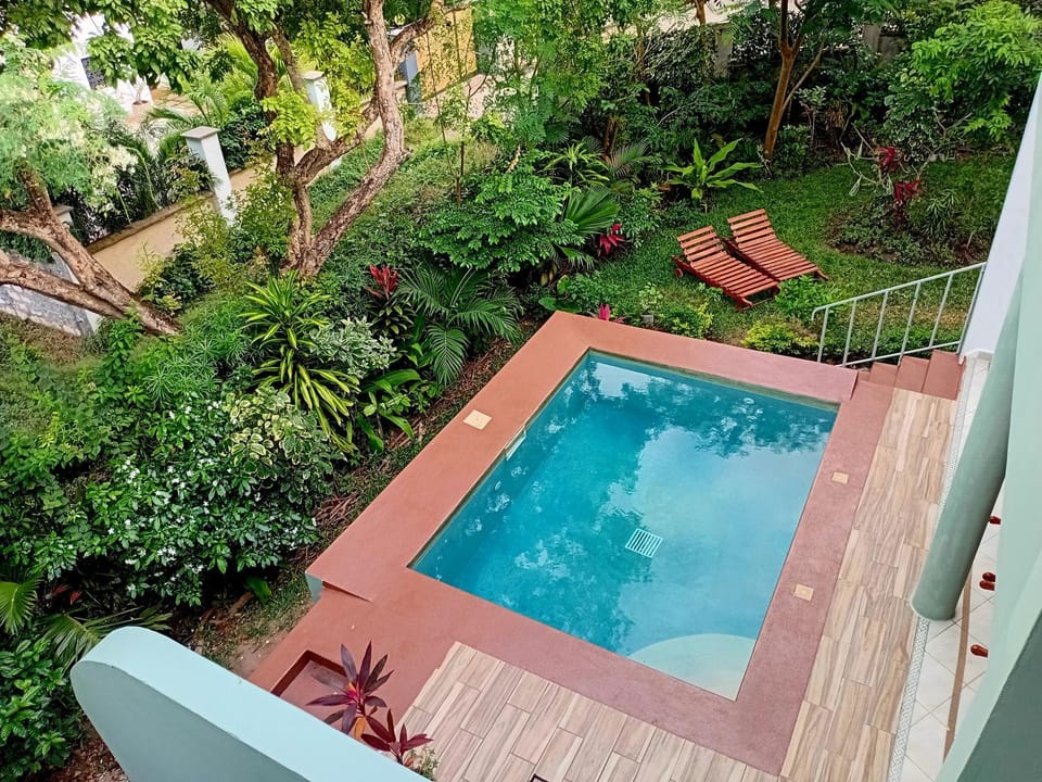 Patio, Day, Garden, Garden view, Pool view, Swimming pool, sunbed