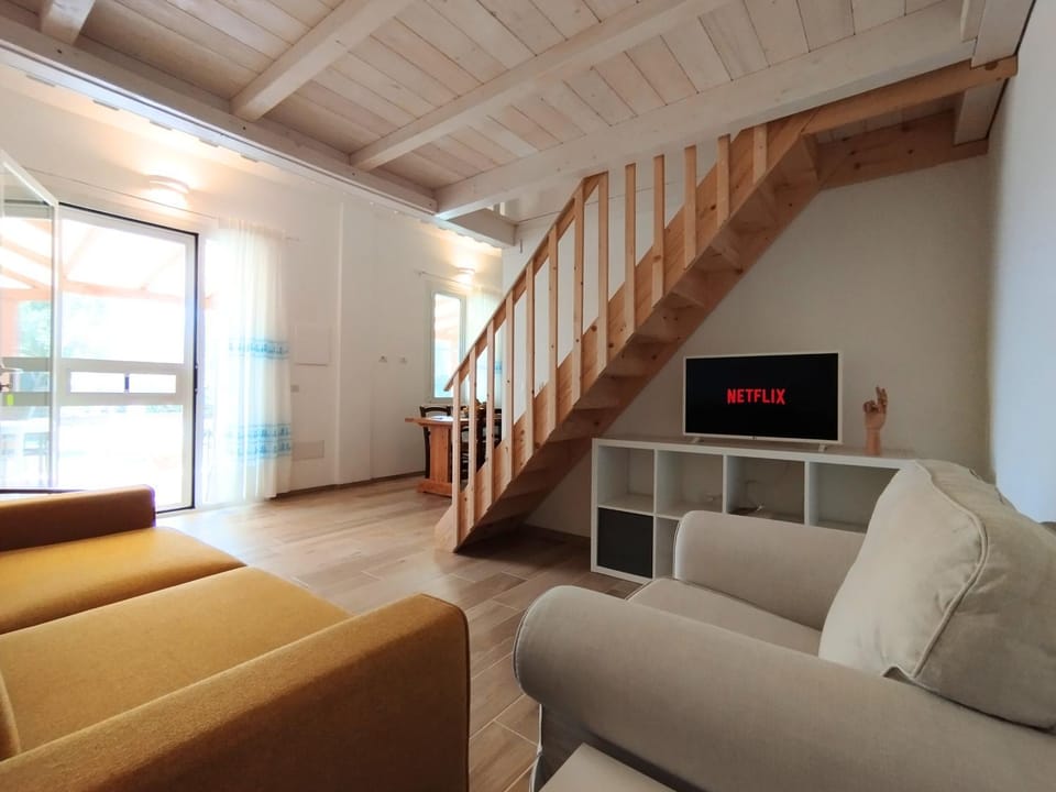 TV and multimedia, Living room