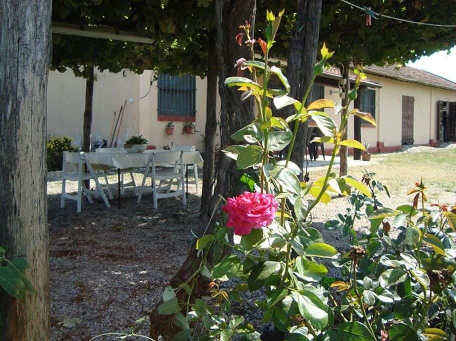 La tenuta Jucci House in Lazio