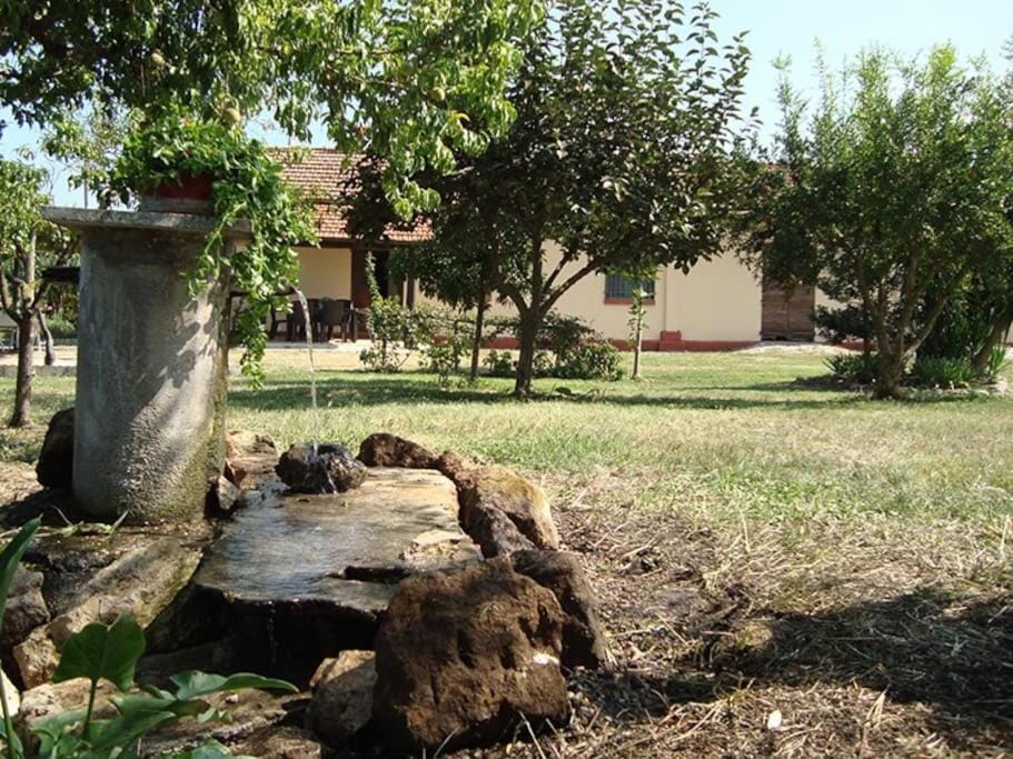 La tenuta Jucci House in Lazio