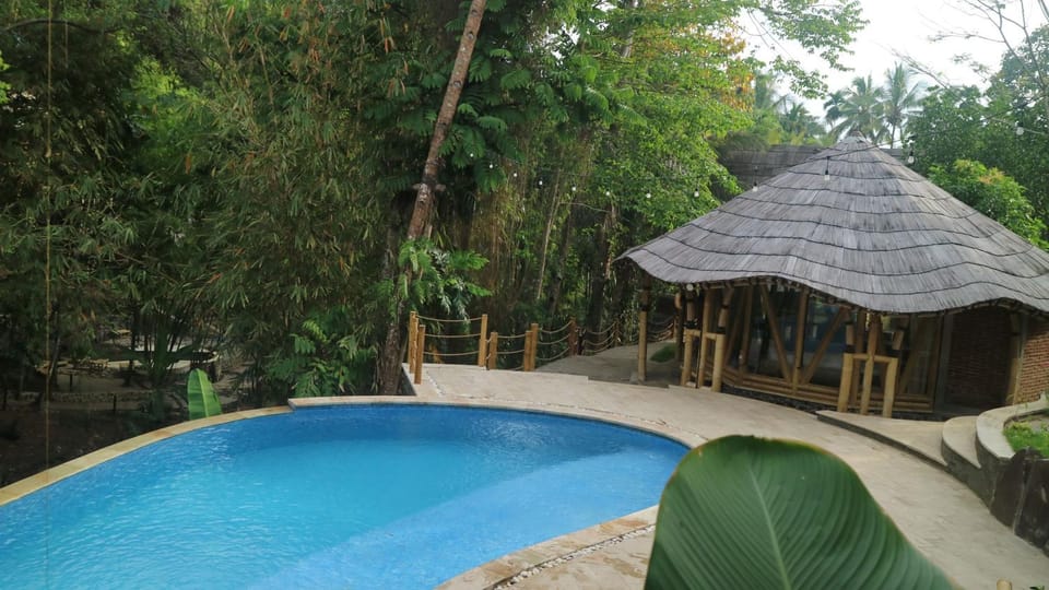 Pool view, Swimming pool