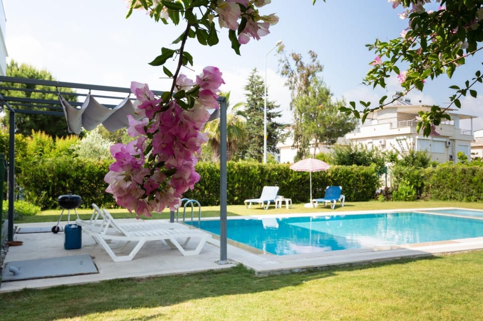Swimming pool, Swimming pool