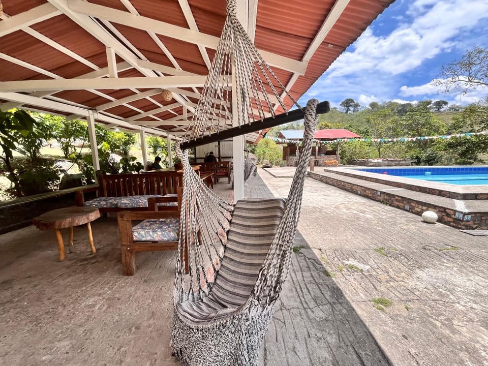 Patio, Natural landscape, View (from property/room), Swimming pool