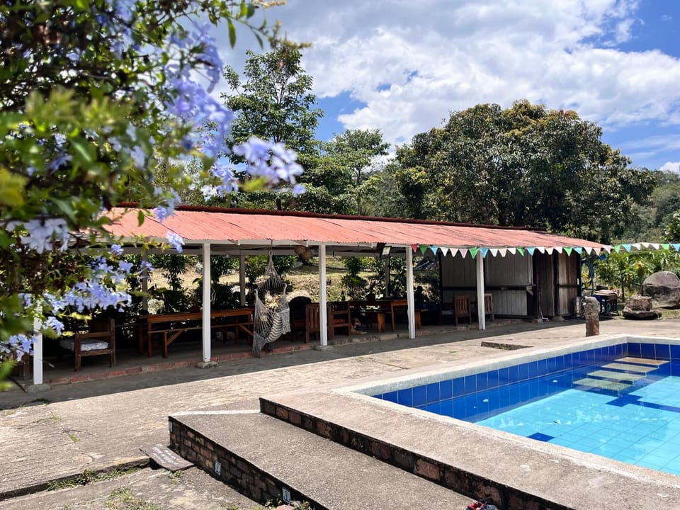 Swimming pool