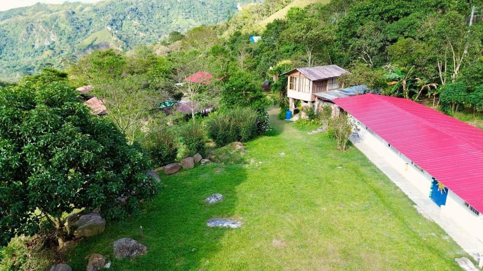 Bird's eye view, Garden view