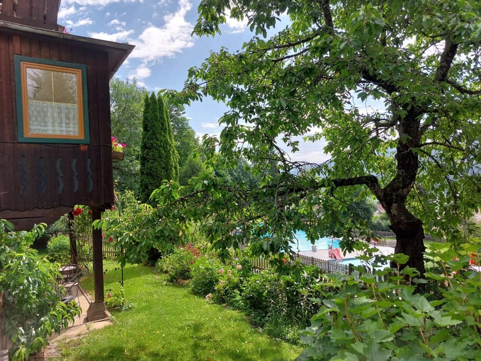 Natural landscape, Garden view