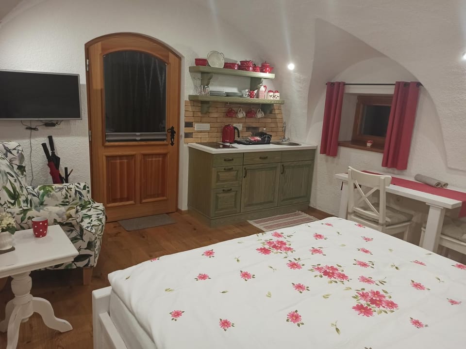 Bed, TV and multimedia, Kitchen or kitchenette, Photo of the whole room, Dining area, Bedroom, stove