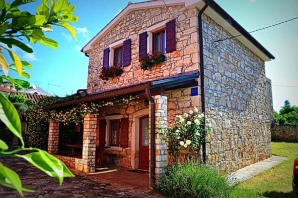 Property building, Spring, Garden