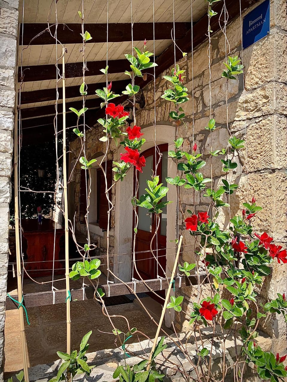 Spring, Garden, Garden view