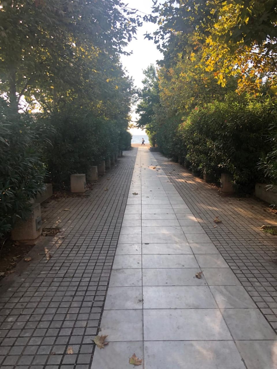 Neighbourhood