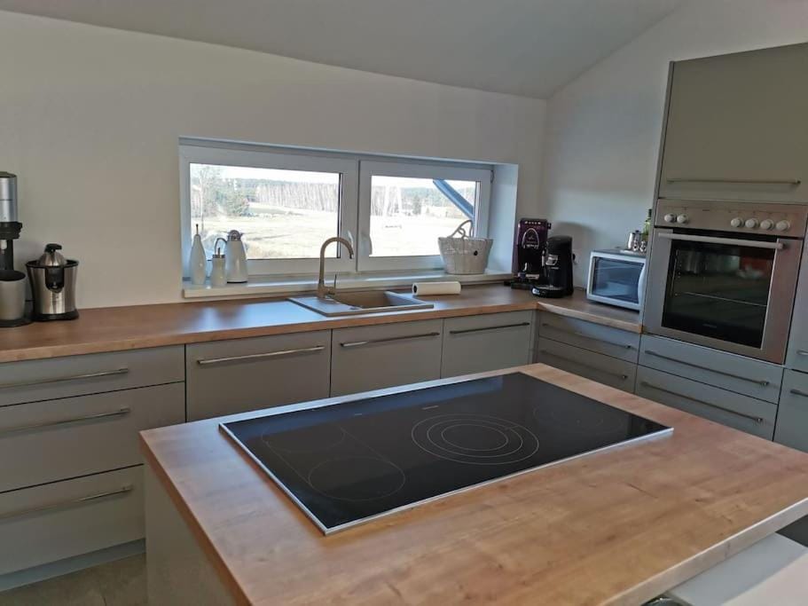 Kitchen or kitchenette, dishwasher, stove