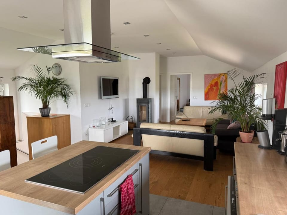 Kitchen or kitchenette, Living room