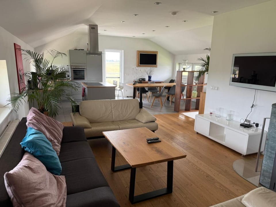 TV and multimedia, Living room, Seating area, Dining area
