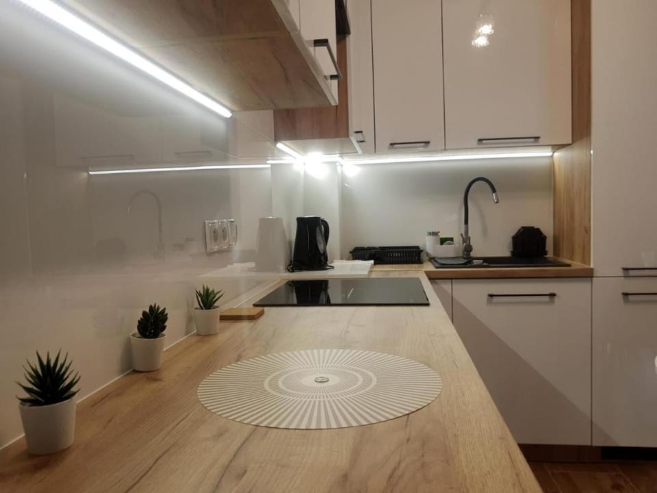 Bounty Apartment in Lesser Poland Voivodeship