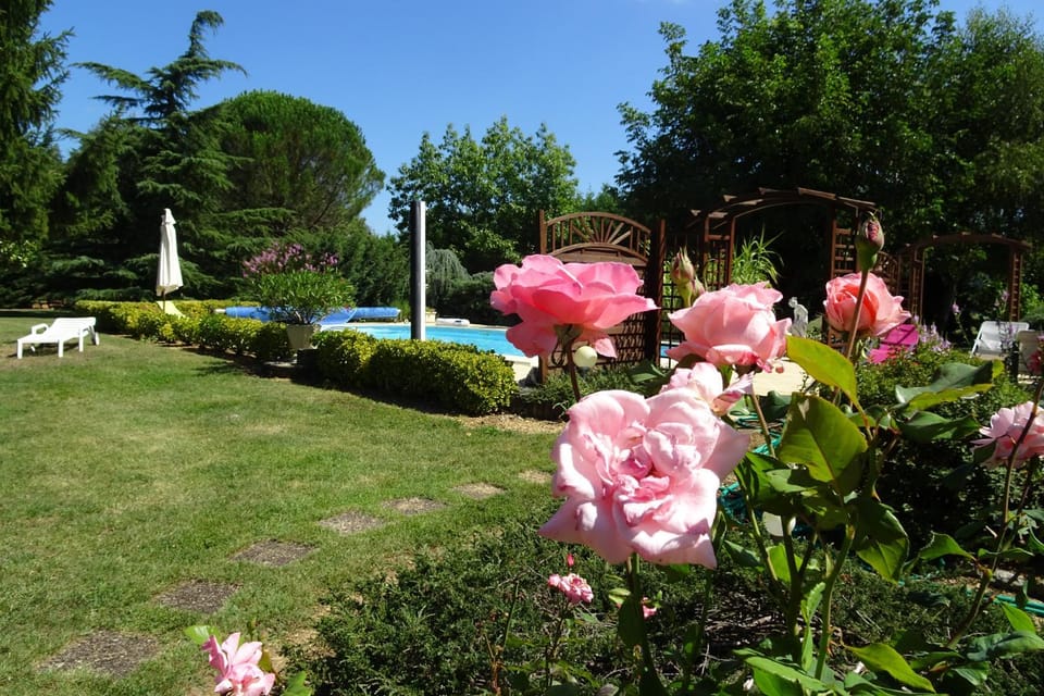 Garden, Swimming pool
