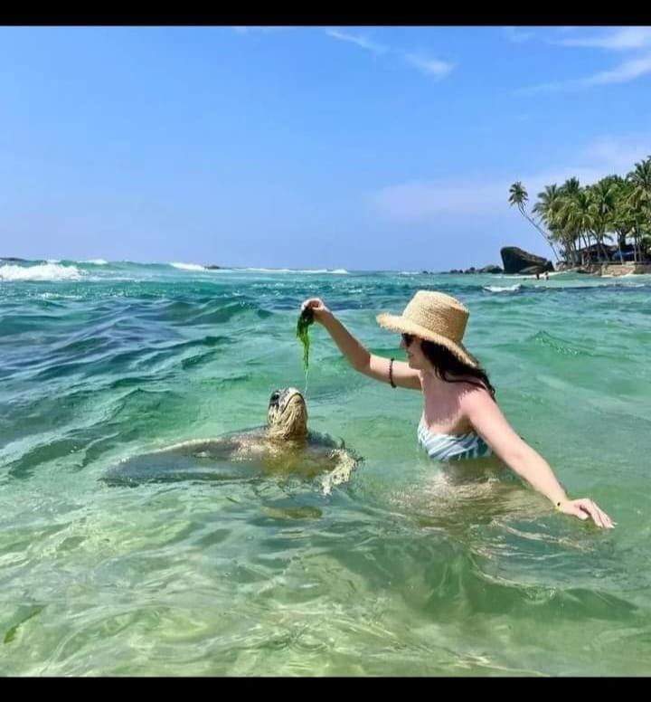 Spice House Apartment in Southern Province