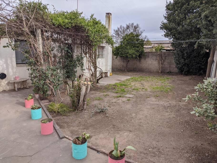 Spring, Garden, Garden view